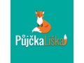 1.000 Kč až 100.000 Kč na cokoli za 15 minut