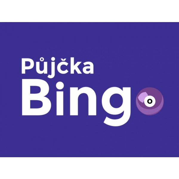 pujcka bez registru
